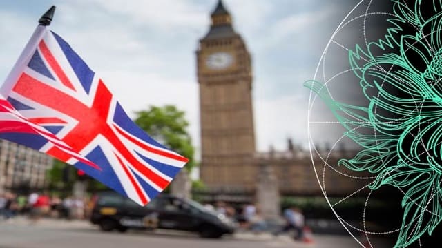 Top Car Insurance Providers in the UK